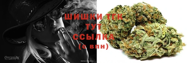 сатива Кукмор