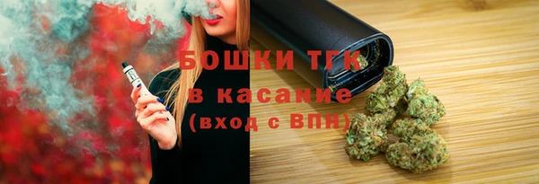 молекула духа Кулебаки
