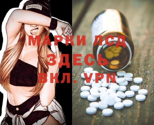 сатива Кукмор
