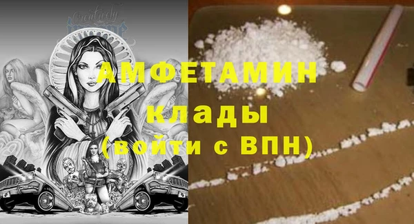 сатива Кукмор