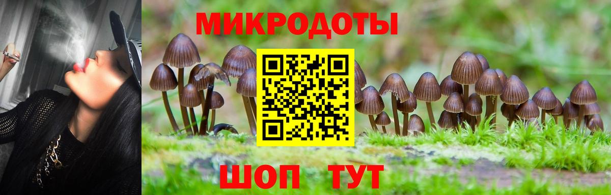 Кулебаки  Галлюциногенные грибы мицелий  где купить наркоту  Вход с VPN 