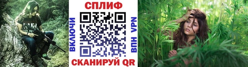 OMG вход  Кулебаки  Бошки Шишки тримм  наркота 